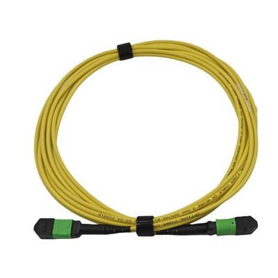 1M~50M MTP Jumper MPO to MPO Female 12 Fibers Single Mode Fiber Optic Patch Cord