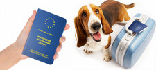 International  Animal  Pet Passport  Clean fo...
