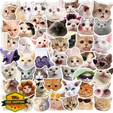 100PCS Funny Cat Stickers Waterproof Vinyl Laptop Water Bottle Journal