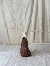 Original 70's John Perry Seagull In Flight Sculpture On Burl Wood Base Vintage