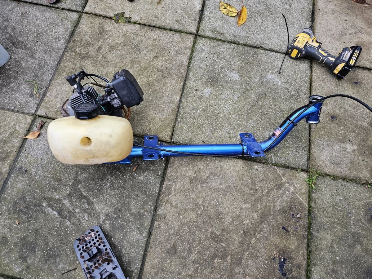 Goped sport sale