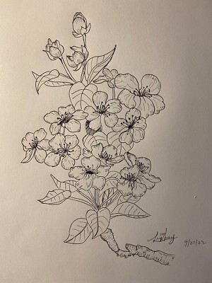 Pen and Ink Drawing Flowers-2 on Canson Mix Media Paper 9x12''