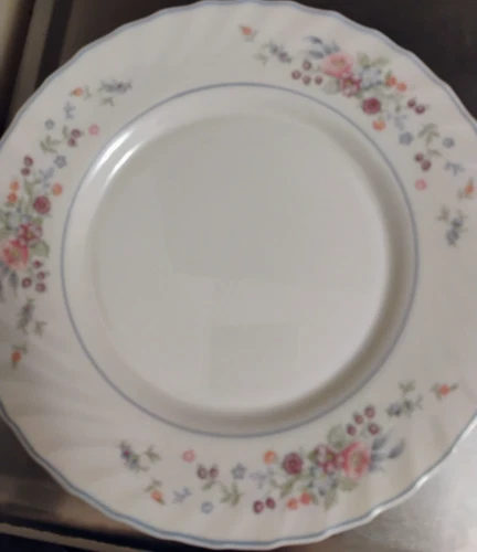 7 Vintage Arcopal Victoria Floral Luncheon Plates 9.5" Made in France