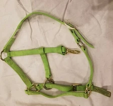 Weaver Brand Basic Adjustable Chin And Throat Snap Nylon Halter 1" Wide GREEN