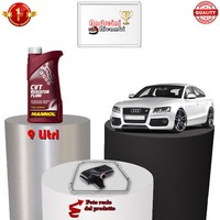 Set Filter Austausch Automatisch Und ÖL Audi A5 8TA 3.0 Tdi 176KW 2016-> 102221