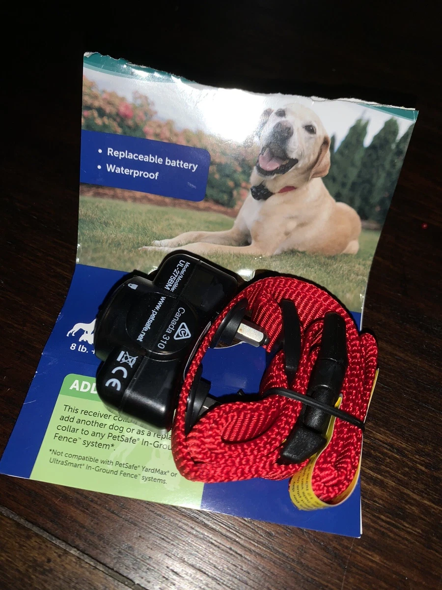 Canada 310 top dog collar