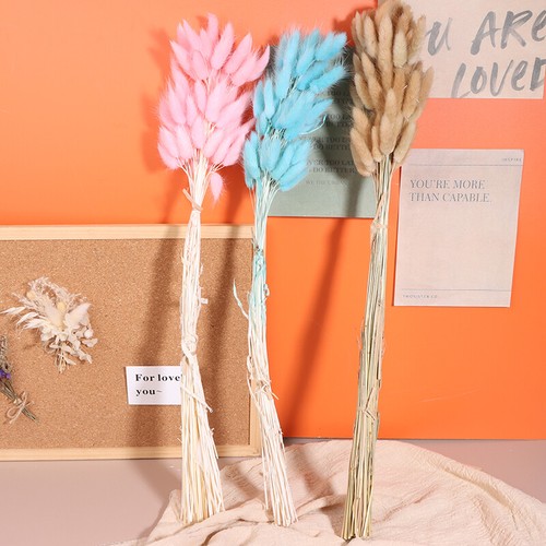 50pcs Nature Bunny Rabbit Tail Grass Dried Flower Bouquet Wedding Party Decor - Picture 10 of 44