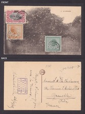 c1909 Belgian Congo Postcard “Un Oranger” Multi-Franked to France Boma Cancel