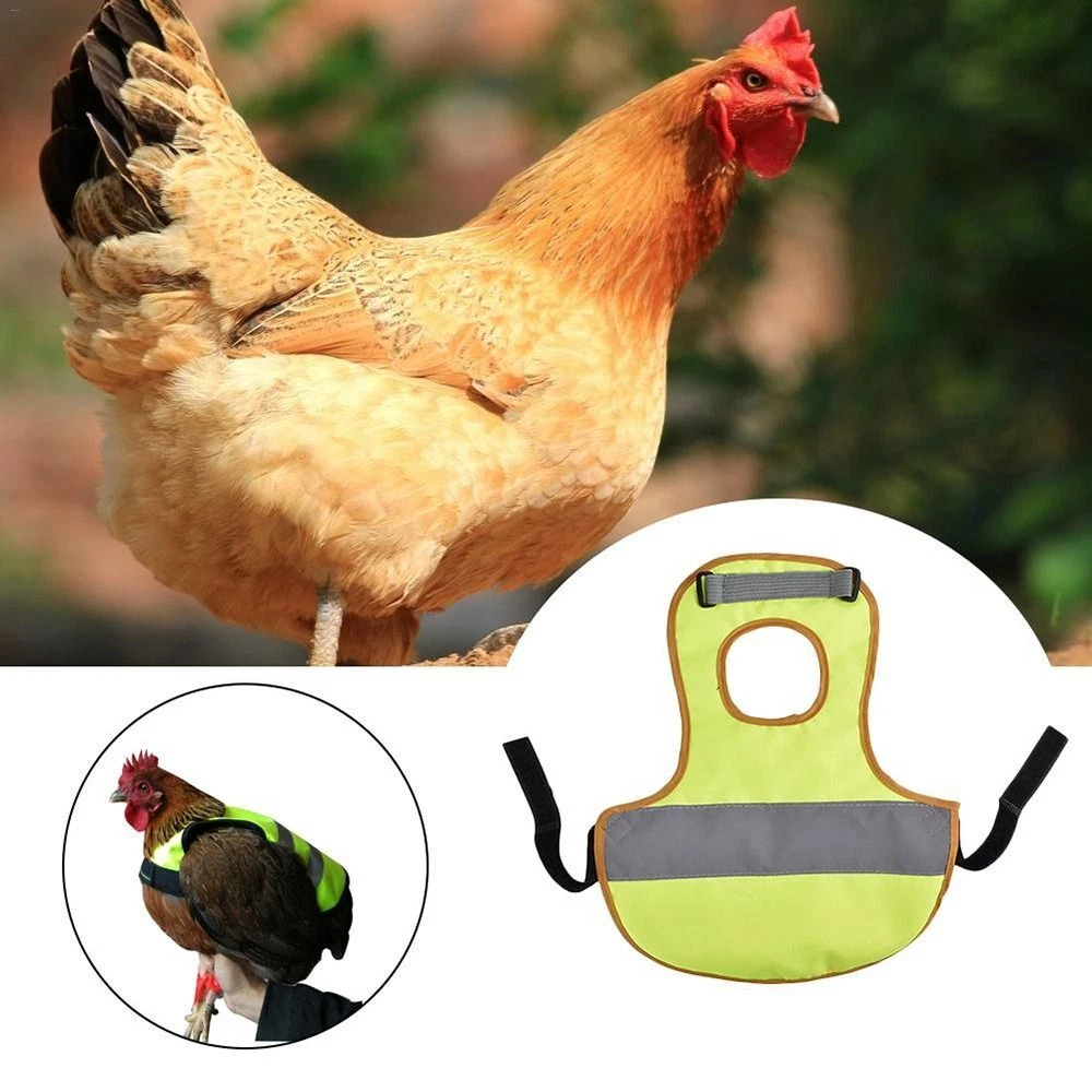 Chicken reflective vest sale