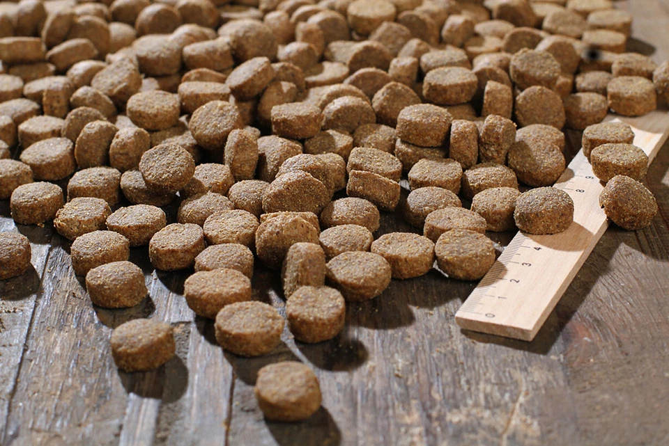 Bewi Dog Basic 12,5kg - Bild 3 von 4