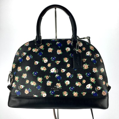 eberlestock fanny pack