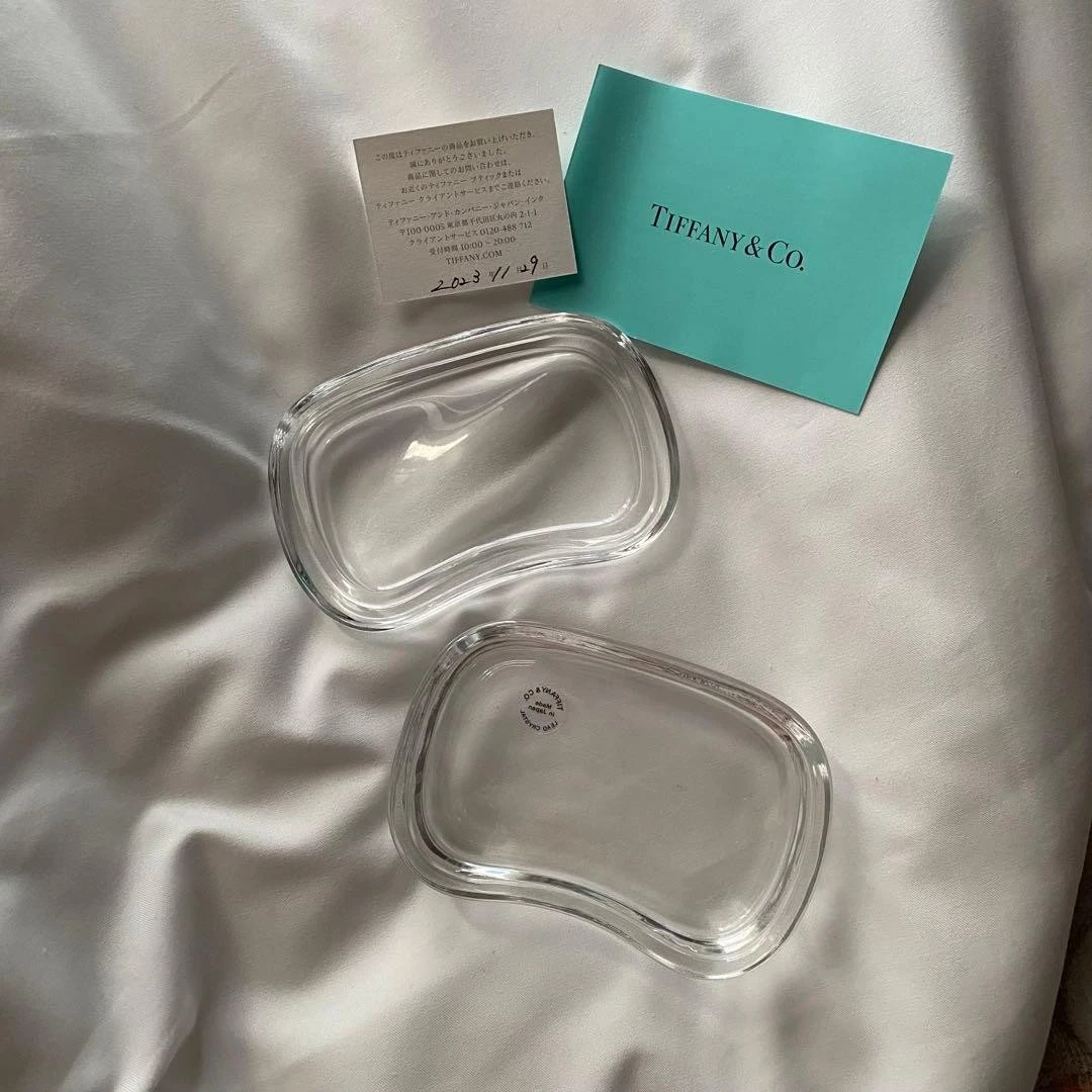 Tiffany & Co. Glass Case Elsa Peretti Wave Box Comes in Box Decor