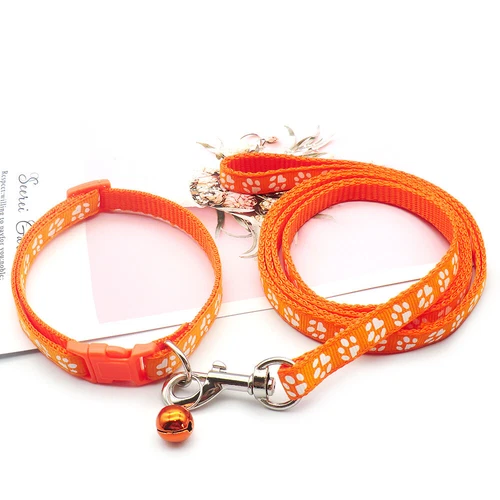 Kleines Hundehalsband und Leine Set verstellbar Welpenleine und Halsband Set Nylonriemen - Bild 12 von 36