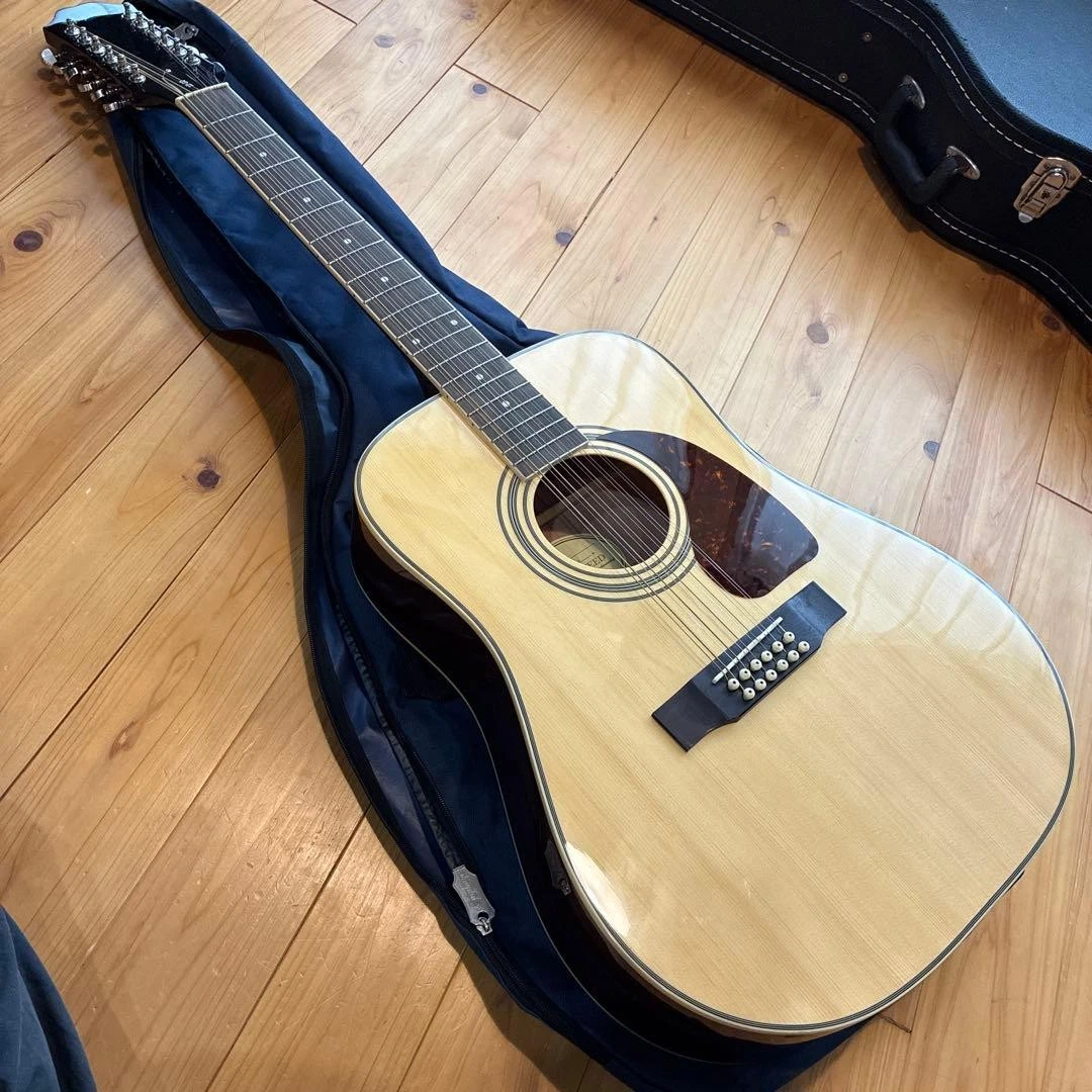 Epiphone 12 String Electric Guitars for sale | eBay