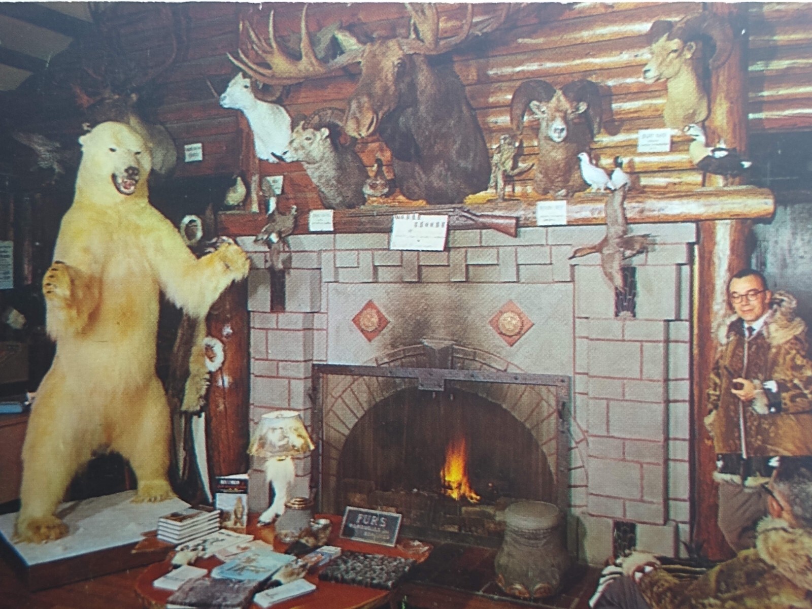 Postcard Alaskan big game trophies, Jonas Bros. Museum Anchorage