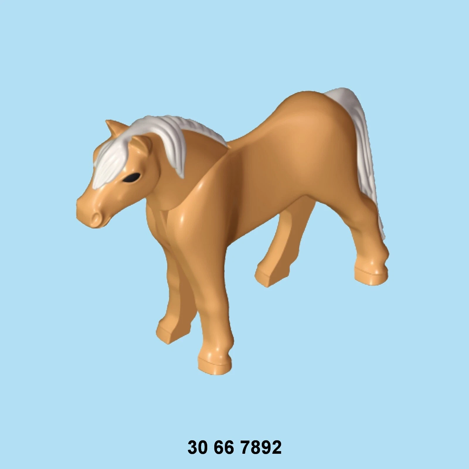 Imagen 187 de 204