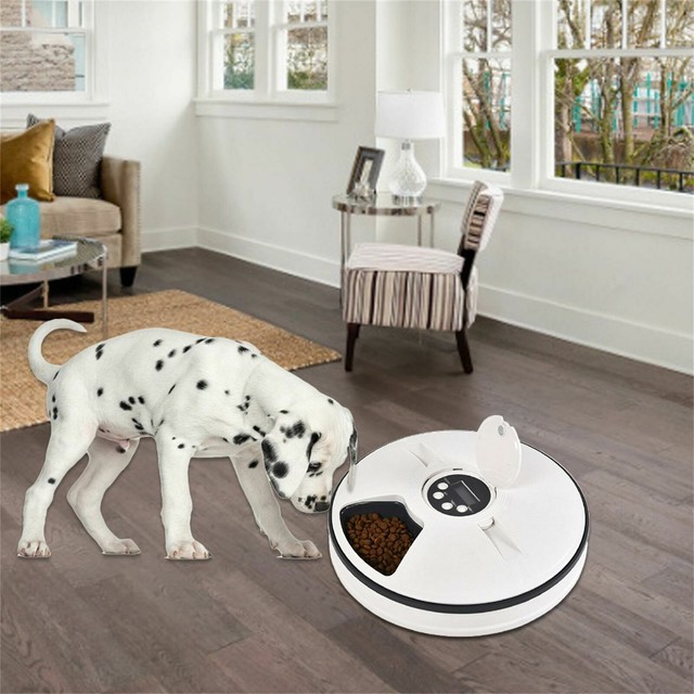 Auto smart Feeder Hund Katze Pet Care Gerät mit Kamera Timer Voice