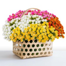 Baby Breath Flowers Artificial - 100pcs Tiny Artificial Flowers