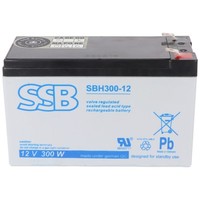 Ssb SBH300-12 12V 9Ah Bleiakku Agm Blei Gel Akku, Mit Faston 6,3Mm, Ideal FüR Ho