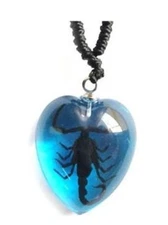 Necklace Black Scorpion on a Blue Background