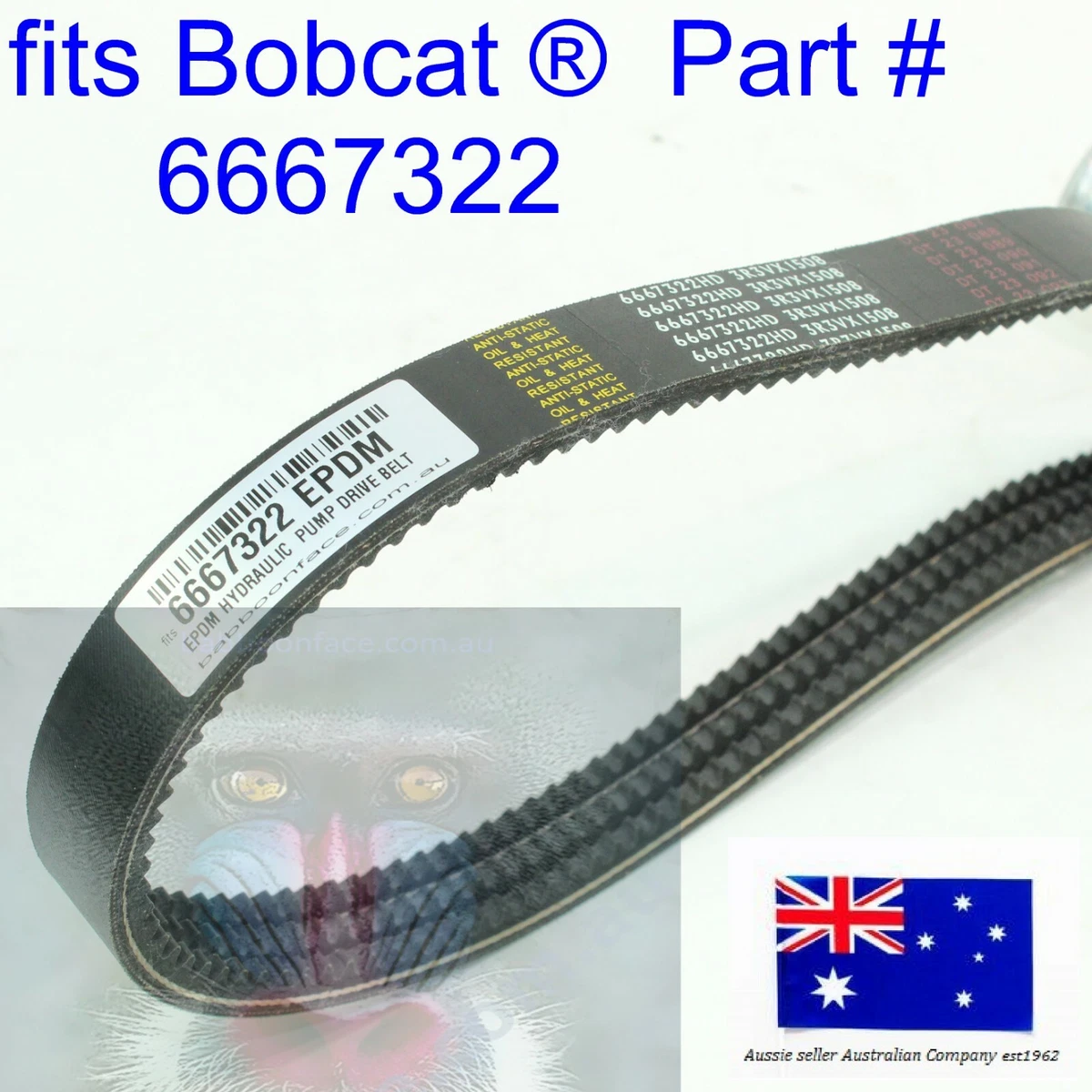 fits Bobcat Main Hydraulic Pump EPDM Drive Belt 6667322 S175 S185  