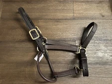 Horse Tack - Large Walsh Leather Halter