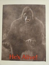 1987 King Kong Lives Linda Hamilton VHS Release Video Store Owner Sell Sheet