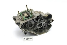 Aprilia RS 125 Rotax 122 - Carter motore Blocco motore A250G