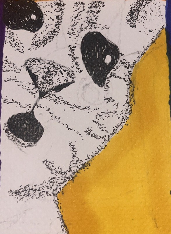 aceo cat original