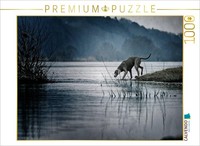 Calvendo Puzzle Weimaraner By The River | 1000 Pieces, Finished Size 25.2 × 18.9