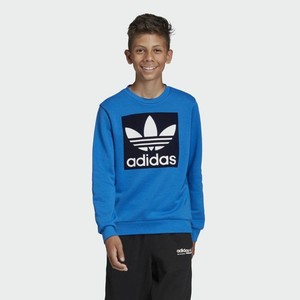 boys adidas trefoil sweatshirt