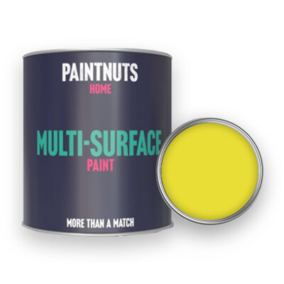 Multi Surface Sprühfarbe - RAL-1016 - SCHWEFELGELB 5 Liter Lackdose
