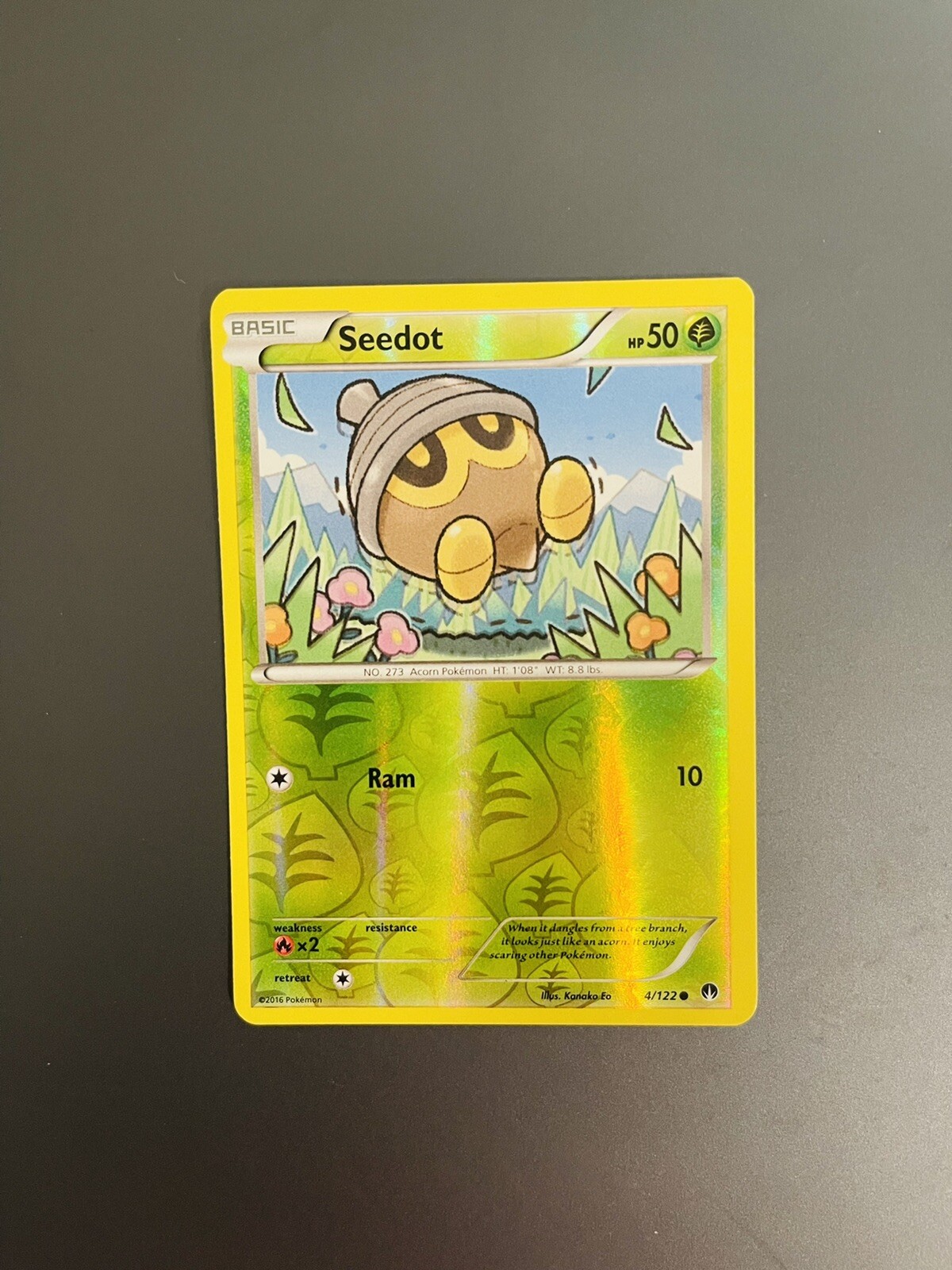 Pokemon Card 4/122 Seedot XY BREAKpoint Reverse Holo Common (LP) 2016