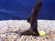Small Driftwood 10"x10"x04" Aquarium Terrarium Reptile Natural Art