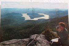 New York NY Hawk Moose Buck Islands Lake Placid Adirondacks Postcard Old Vintage