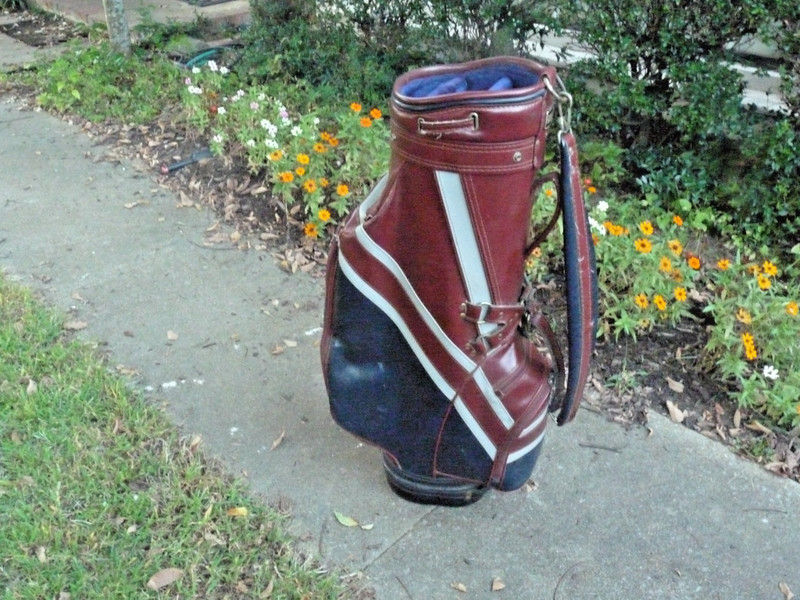 Gorgeous Lynx 8 1/2" Leather Staff Golf Bag