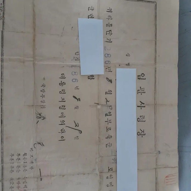 Historical Certificate from 1953, Short-term Document