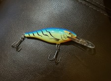Rapala Shad Rap SR-7 Gander Mountain Exclusive Blue Hot Tiger HTF Nice Shape