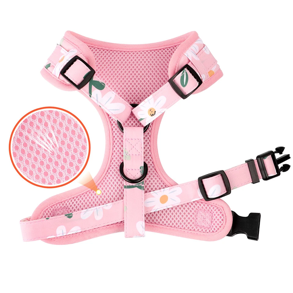 Floral Mesh Step in Dog Harness and Leash Set with Personalized Dog Collar XS-L - Image 4 of 4