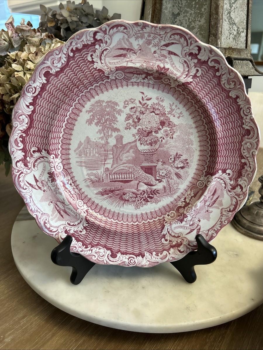 fleur＊Sale アンティークPT ハーフラウンド　ホールキャビネット Rare Pink Red ENGLISH Transferware PHEASANT Dinner Plate Circa