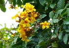Bild 2 von 6