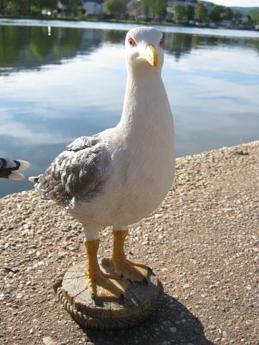 Möwe auf Poller 26 cm Polyresin Deko Figur Maritim Garten Teich Meer