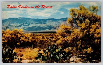 Palos Verdes Desert Landscape Vintage Arizona Postcard by Petley