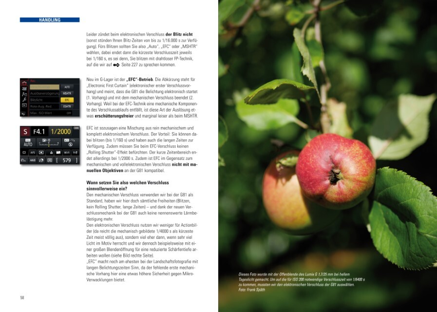 Thumbnail - Frank Späth Lumix G81 System Fotoschule