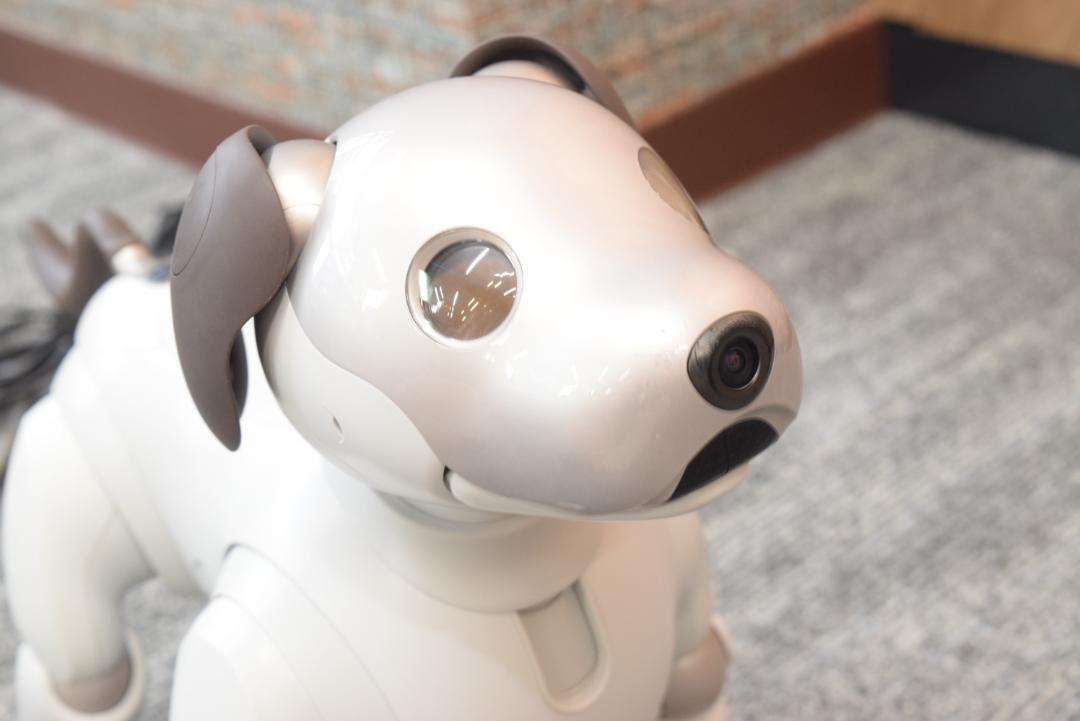 SONY Aibo ERS-1000 Main Unit Dog Shaped Virtual Pet Robot JAPAN JP
