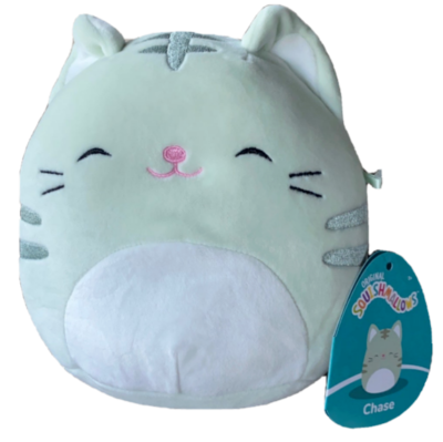 Squishmallows Chase The Cat 7