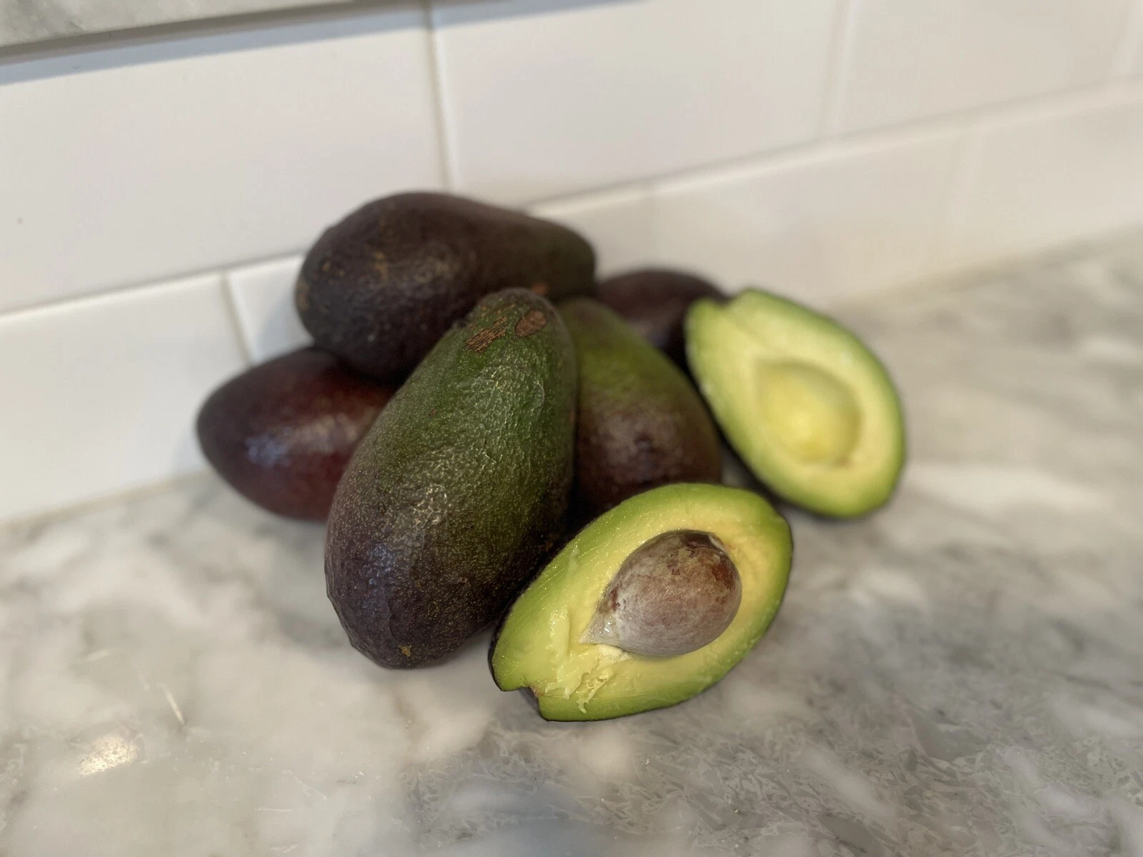 HASS AVOCADO SCION CUTTING FOR GRAFTING. (4 Pieces)
Opens in a new window or tab