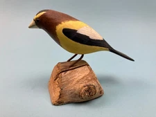 Evening Grossbeak carving by Florence E Johnson, 1979, Quissett MA, Cape Cod