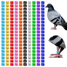 200 Pc 8mm Chick Leg Bands Colorful Numbered ...