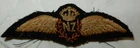 WW1 ERA NZ NEW ZEALAND AIR FORCE NZAF PILOT WING MILITARY PATCH K/C BADGE